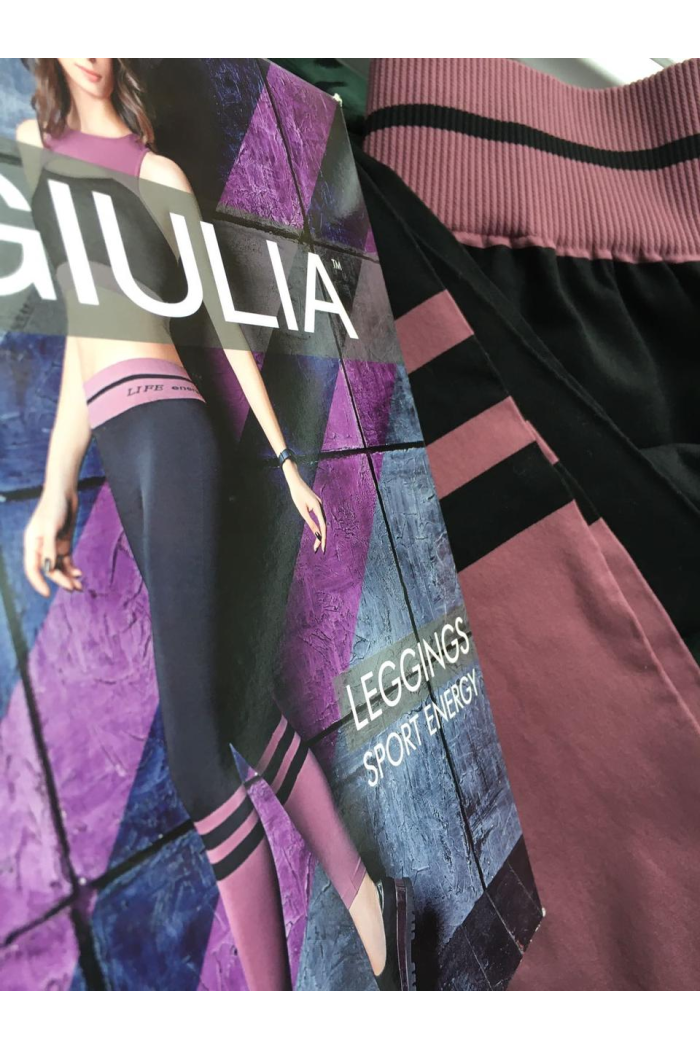 Эластичные Спортивные Леггинсы микрофибра GIULIA лосины женские для фитнеса и спорта с широкой резинкой р. S-L